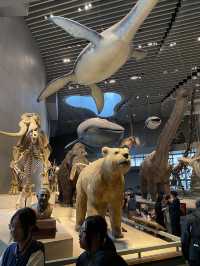 พาทัวร์ 📍Shanghai Natural History Museum