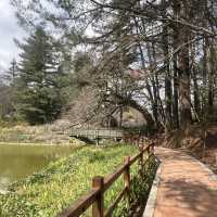 福壽山農場 