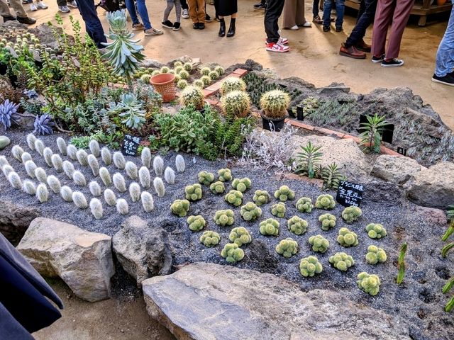 【伊豆】伊豆シャボテン動物公園で動物とサボテンと触れ合う