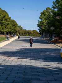 気持ちのいい葛西臨海公園さんぽ🚶‍♂️