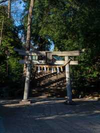 宮ノ下駅にある厳島神社周辺スナップ⛩️