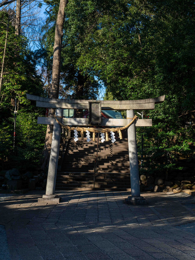 宮ノ下駅にある厳島神社周辺スナップ⛩️