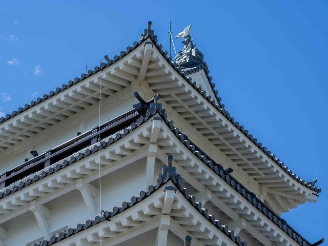 【島原城をゆっくり散策】🏰🌿