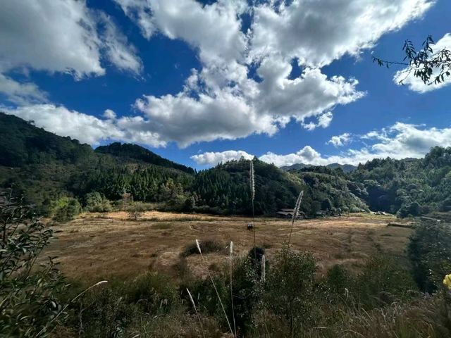 Gaoligong Mountain: Where Beauty and Biodiversity Meet