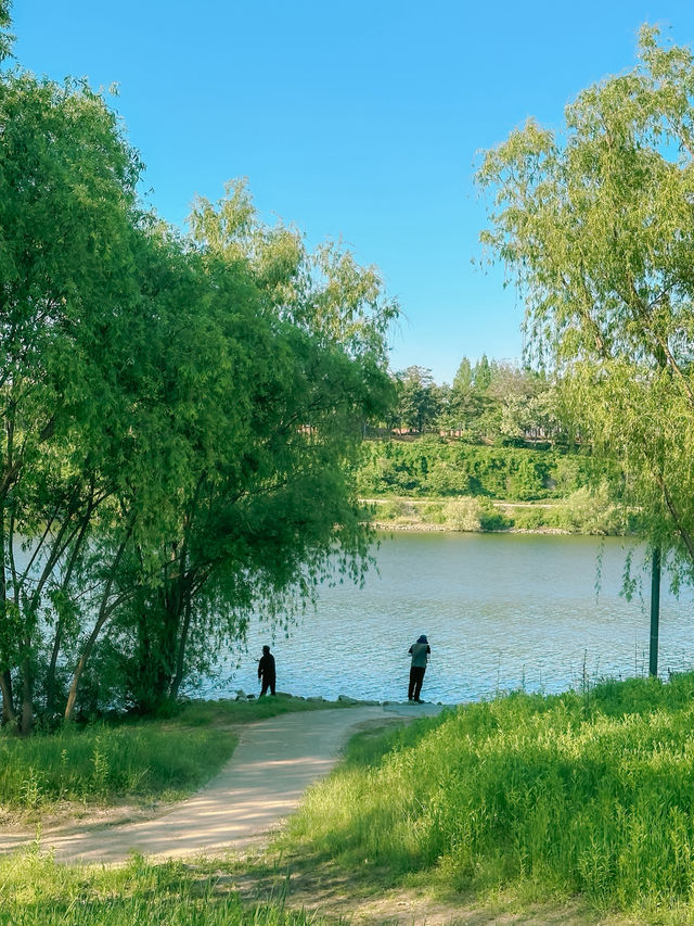 도심 속 작은 피크닉 천국 🎒🌸