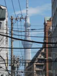 Walking around in Tokyo