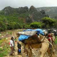 Socotra Island