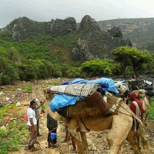 Socotra Island