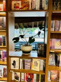 Between Ancient Walls and Modern Words: A Literary Escape in Gucheng