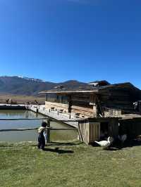 7-day itinerary for a trip to Yunnan, China. 