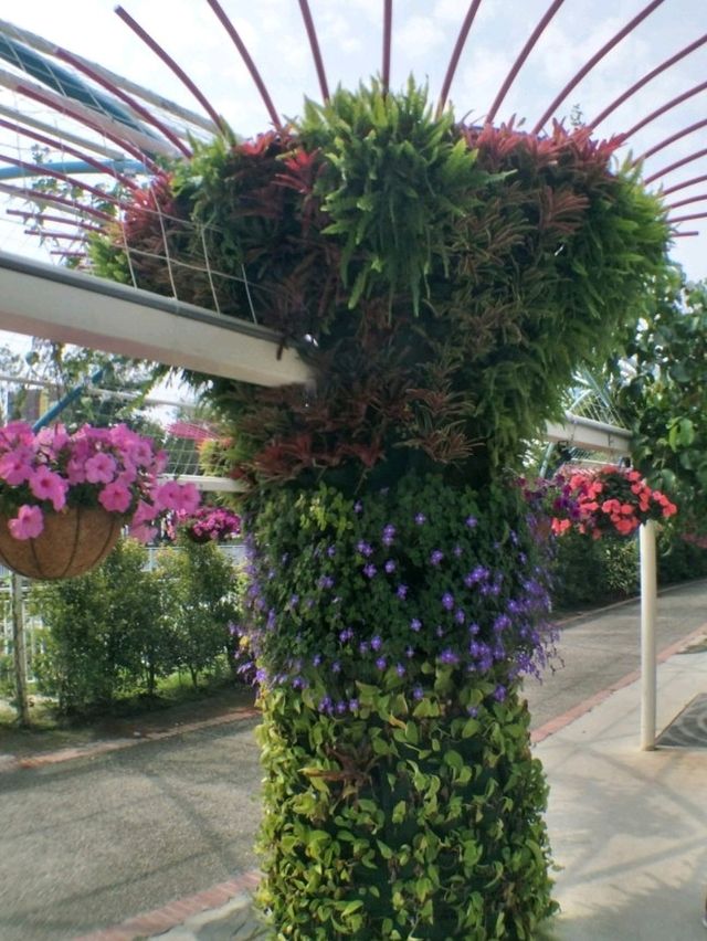 #葫蘆墩公園-台中市豐原區