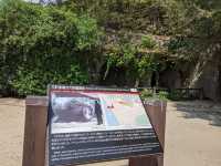 【広島】「ウサギの島」かつ「毒ガスの島」へ行く
