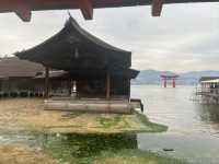 【広島】嚴島神社で海に浮かぶ鳥居を見る！