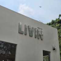✳️LIVIN CAFE | คาเฟ่มินิมอลโทนสีอบอุ่น✴️