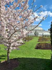 Royal Botanical Gardens, Kew,