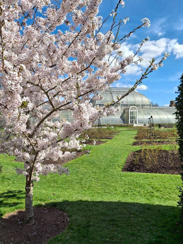 Royal Botanical Gardens, Kew,