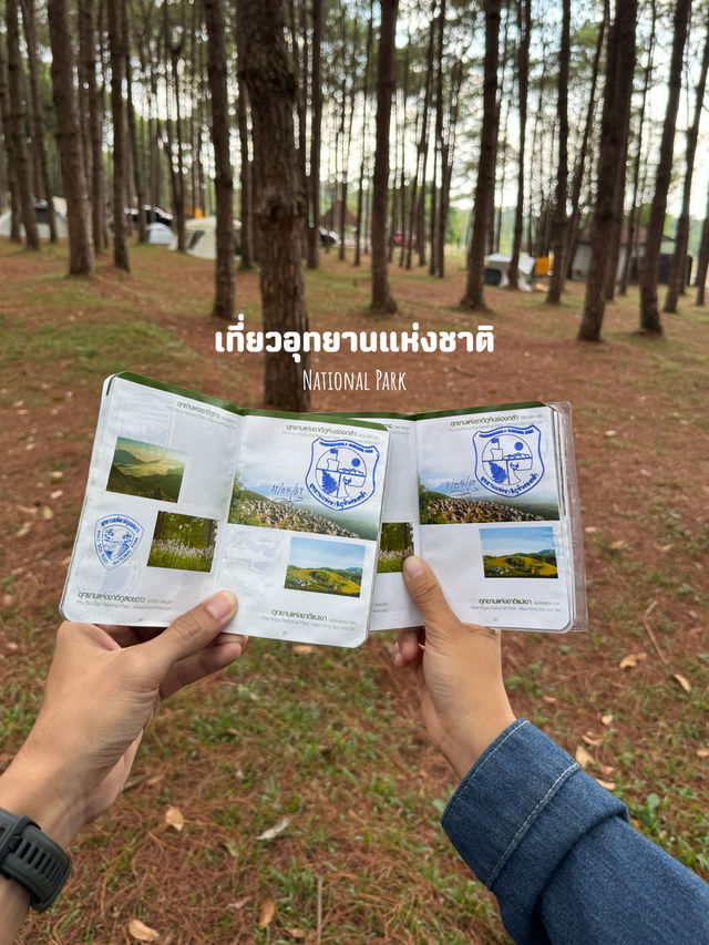 12 กิจกรรมเที่ยวฤดูฝน ⛰️🌳🌧️🍃