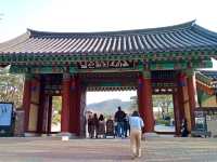 “Cherry Blossoms and Tradition at Namsangol Hanok Village”
