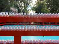 【京都】うさぎ神社🐰⛩️
