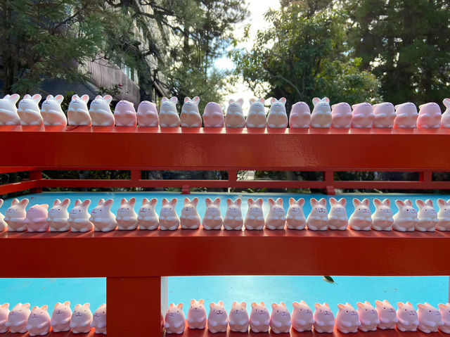 【京都】うさぎ神社🐰⛩️