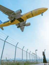 【福岡】飛行機が間近で見られるスポット🛩️