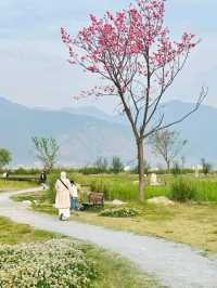 8 Days Across Yunnan: A Scenic Soul Reset from Dali to Shangri-La