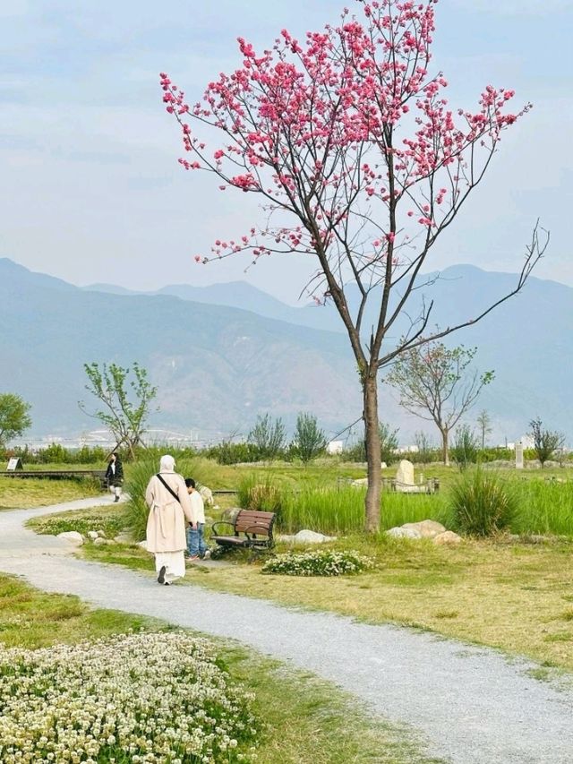 8 Days Across Yunnan: A Scenic Soul Reset from Dali to Shangri-La