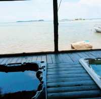 A Sustainable Haven: Exploring the Tranquil Beauty of Bintan Spa Villa