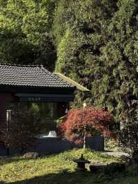 成都周邊🍃融入大自然 雪山下的私湯民宿 太治癒了❤️‍🩹