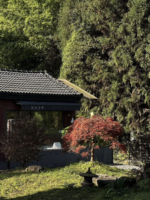 成都周邊🍃融入大自然 雪山下的私湯民宿 太治癒了❤️‍🩹