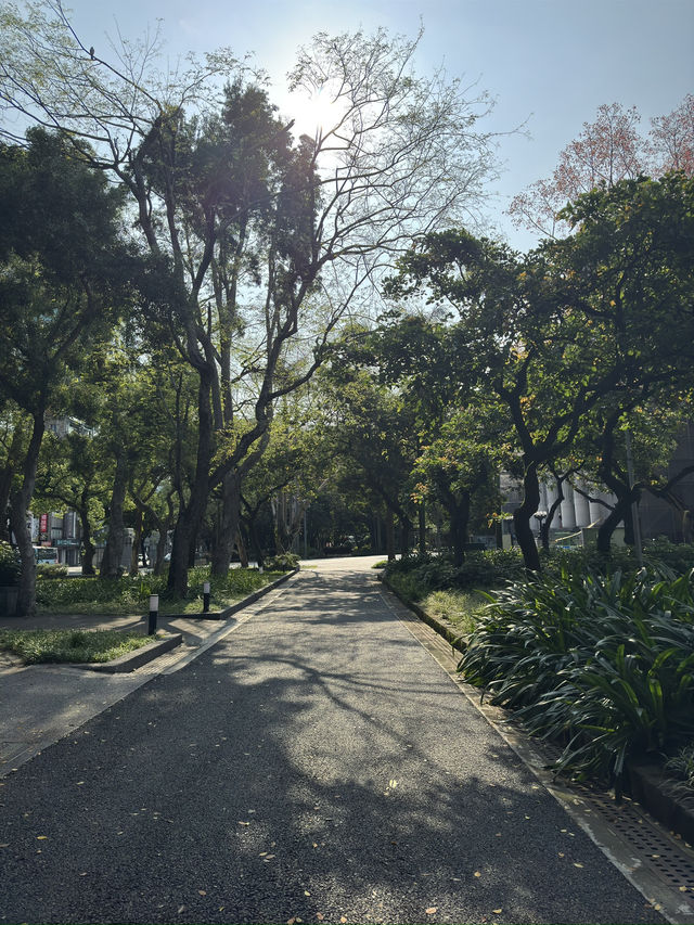 台北｜台大醫院站一日遊指南