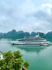 ⛵🦢 Sail into Paradise: My Swan Cruise in Halong Bay! 🦢⛵