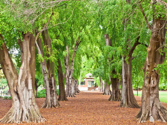 🌆✨ Brisbane City Centre Spring Getaway: Urban Oasis in 48 Hours