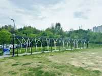Where Nature Nurtures