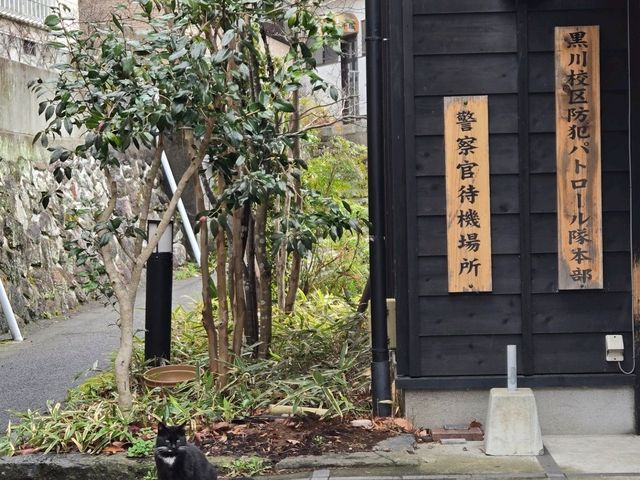Fumoto Ryokanふもと旅館