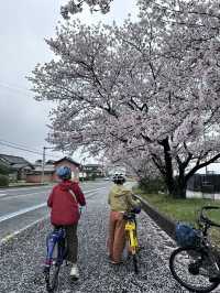 島波海道-尾道到今治的自行車道