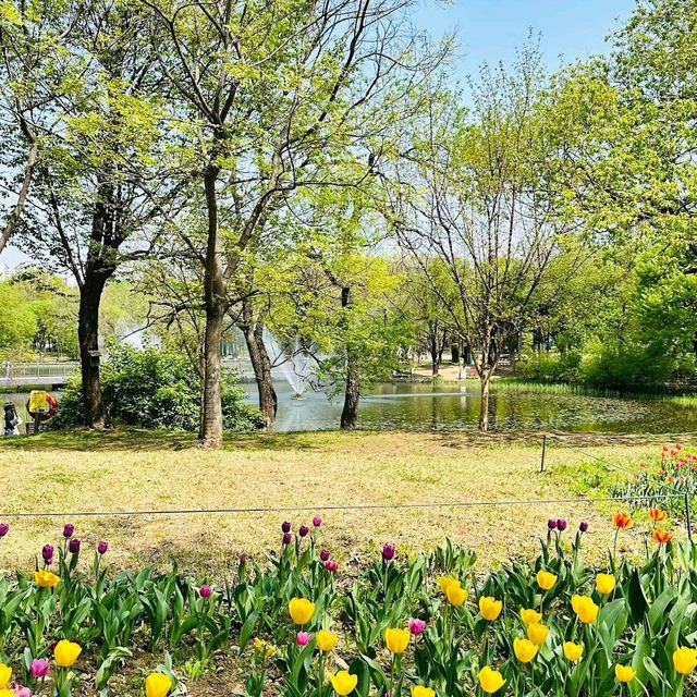 Seoul Forest (Seoul)