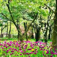 Seoul Forest (Seoul)