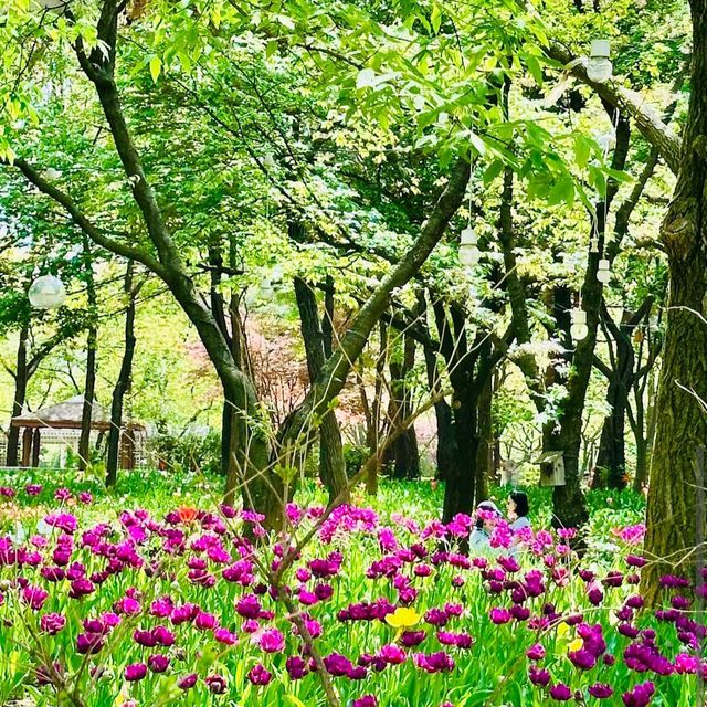 Seoul Forest (Seoul)