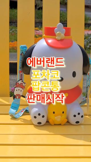 에버랜드 산리오캐릭터즈 콜라보 축제, 포차코 팝콘통 판매 시작