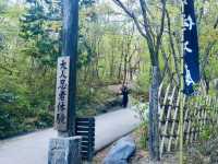 Edo Wonderland, Nikko – A Springtime Time Travel