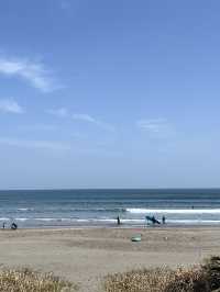 【宮崎】春の宮崎