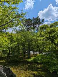 【京都】新緑の京都を楽しむ 青紅葉が美しい南禅寺から