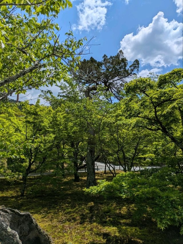 【京都】新緑の京都を楽しむ 青紅葉が美しい南禅寺から