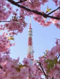 跟著櫻花季遊東京～