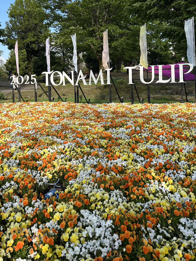 【富山】🌷砺波チューリップフェア🌷