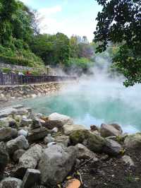 Steamy Sights and Science in Beitou
