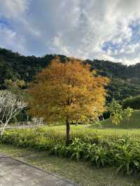 石門水庫｜北台灣四季皆宜的湖光山色與生態樂園 