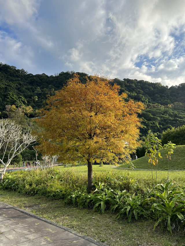 石門水庫｜北台灣四季皆宜的湖光山色與生態樂園 