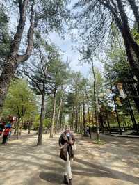 Going to Nami Island by Public Transport 😍